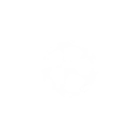 League logo